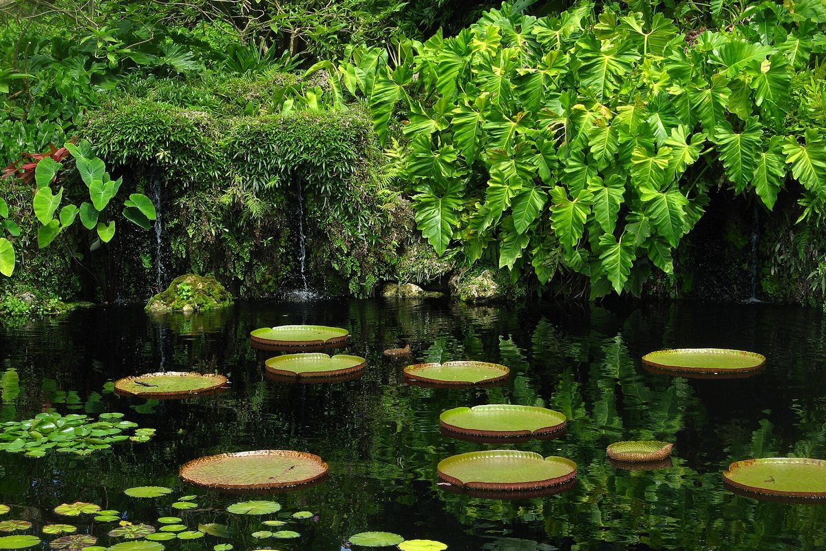 Fairchild Tropical Botanic Garden, a South Florida engagement photo location